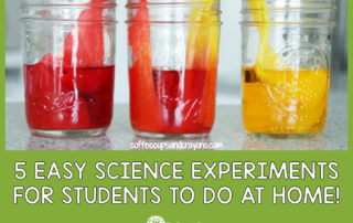 Experiments for kids to do at home!