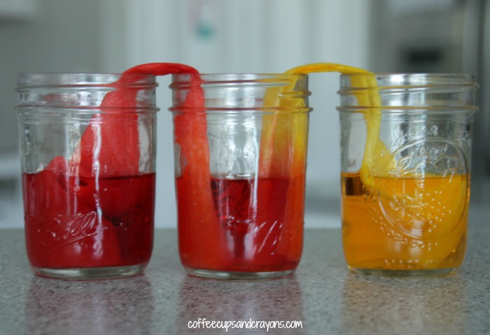 Crazy Cool Walking Water Experiment